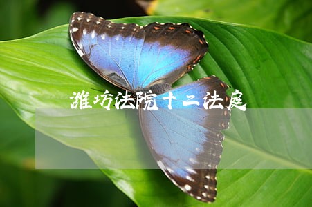 潍坊法院十二法庭 潍坊法院十二法庭