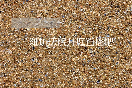 潍坊法院开庭直播吧 潍坊法院开庭直播吧