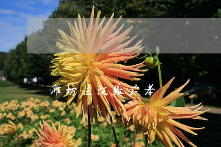 潍坊法院张广孝
