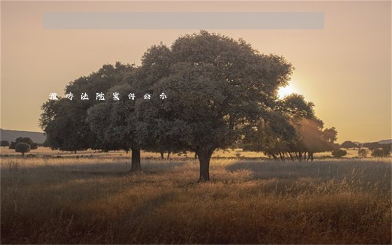 潍坊法院案件公示