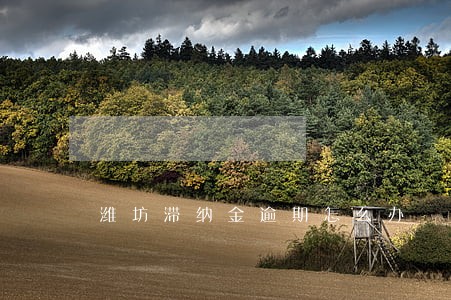 潍坊滞纳金逾期怎么办 潍坊滞纳金逾期怎么办