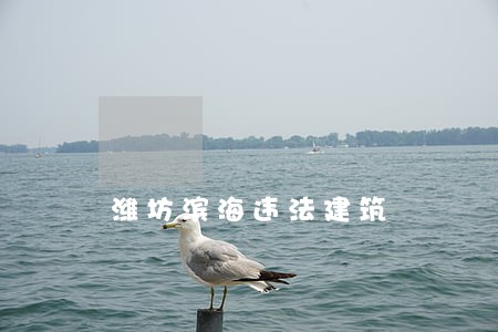 潍坊滨海违法建筑