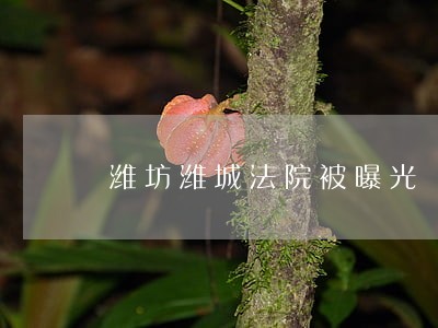 潍坊潍城法院被曝光 潍坊潍城法院被曝光