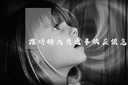 潍坊特大交通事故应该怎样诉讼 潍坊特大交通事故应该怎样诉讼