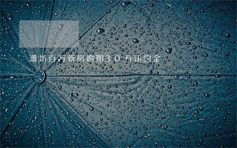 潍坊百万新房逾期30万违约金 潍坊百万新房逾期30万违约金