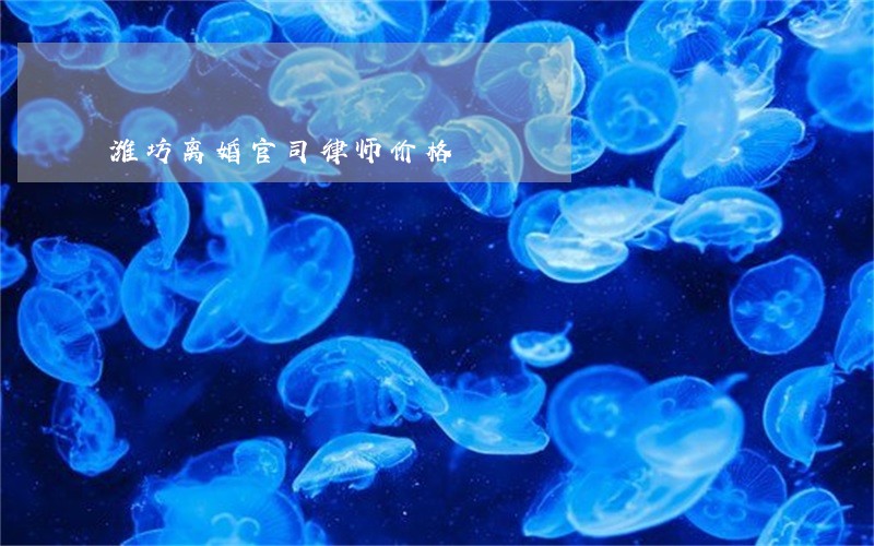 潍坊离婚官司律师价格 潍坊离婚官司律师价格