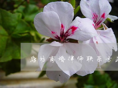 潍坊离婚律师联系方式 潍坊离婚律师联系方式