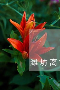 潍坊离婚房产律师 潍坊离婚房产律师