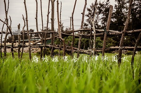 潍坊租赁合同律师团队