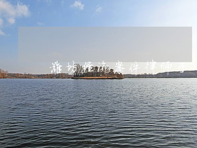 潍坊经济案件律师于 潍坊经济案件律师于