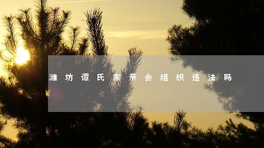 潍坊谭氏宗亲会组织违法吗
