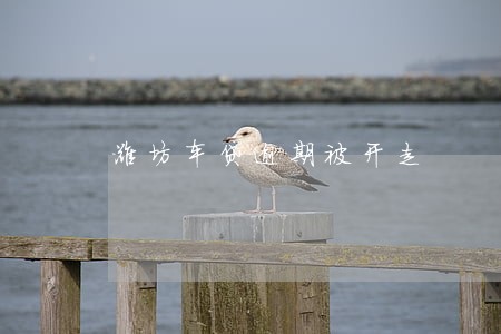 潍坊车贷逾期被开走 潍坊车贷逾期被开走