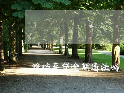 潍坊车贷逾期违法吗 潍坊车贷逾期违法吗