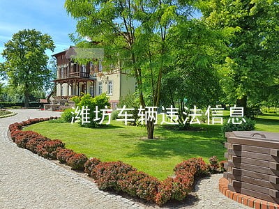 潍坊车辆违法信息 潍坊车辆违法信息