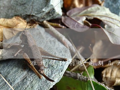 潍坊银行利息逾期几天上征信