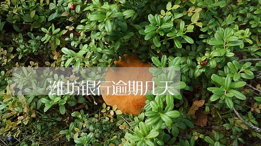 潍坊银行逾期几天