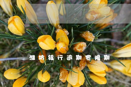 潍坊银行逾期宽限期