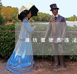 潍坊驾驶员违法查询 潍坊驾驶员违法查询