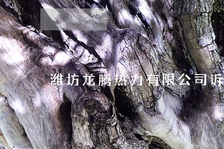 潍坊龙腾热力有限公司诉讼 潍坊龙腾热力有限公司诉讼