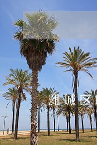 潍城区职务犯罪在线律师 潍城区职务犯罪在线律师