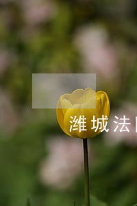潍城法院拍卖的土地 潍城法院拍卖的土地