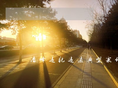 潘峰违纪违法典型案件 潘峰违纪违法典型案件