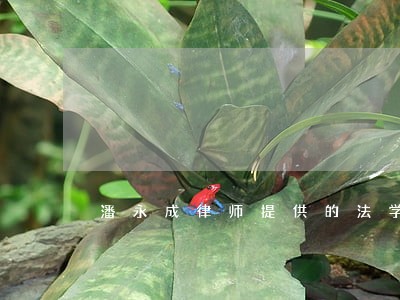 潘永成律师提供的法学论文