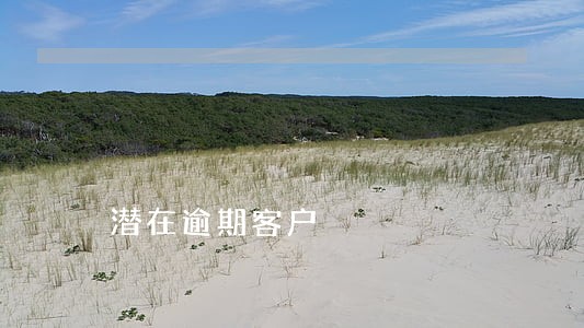 潜在逾期客户 潜在逾期客户