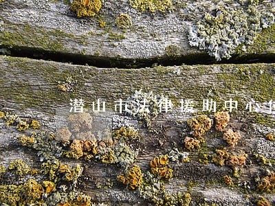 潜山市法律援助中心位置 潜山市法律援助中心位置