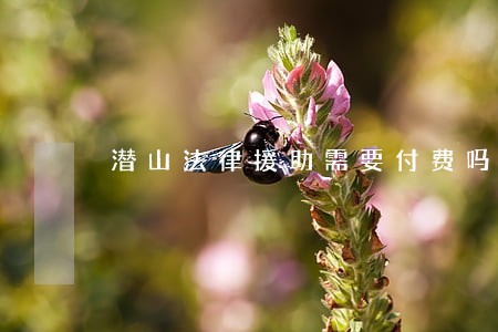 潜山法律援助需要付费吗 潜山法律援助需要付费吗