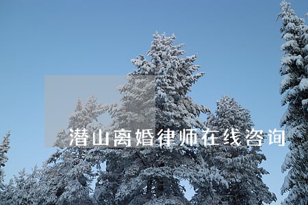 潜山离婚律师在线咨询 潜山离婚律师在线咨询