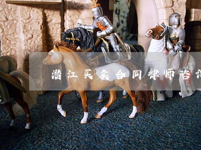 潜江买卖合同律师咨询 潜江买卖合同律师咨询