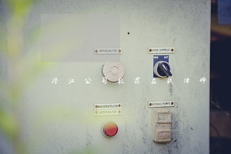 潜江公司犯罪在线律师 潜江公司犯罪在线律师
