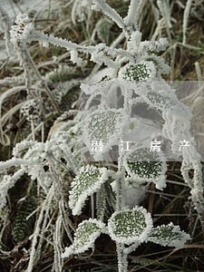 潜江房产继承律师 潜江房产继承律师