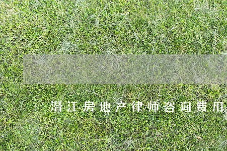 潜江房地产律师咨询费用 潜江房地产律师咨询费用