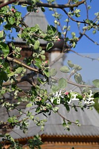 潜江法院飓风行动 潜江法院飓风行动