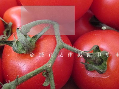 潞城市法律援助中心电话 潞城市法律援助中心电话