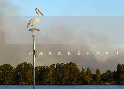 潞城更改抚养权纠纷律师 潞城更改抚养权纠纷律师