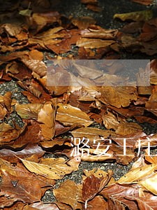 潞安王庄煤矿法律顾问主任外遇