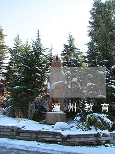 潭州教育分期逾期退课怎么退钱 潭州教育分期逾期退课怎么退钱