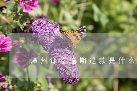 潭州课堂逾期退款是什么意思 潭州课堂逾期退款是什么意思