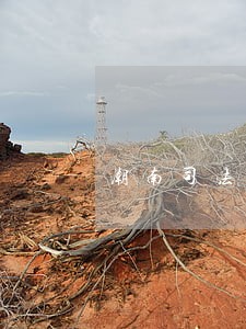 潮南司法局电话