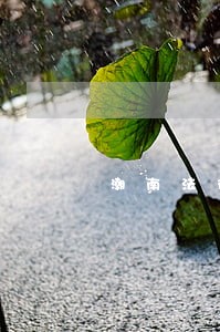 潮南法律援助电话号码 潮南法律援助电话号码