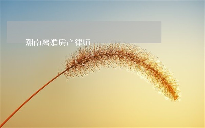 潮南离婚房产律师 潮南离婚房产律师
