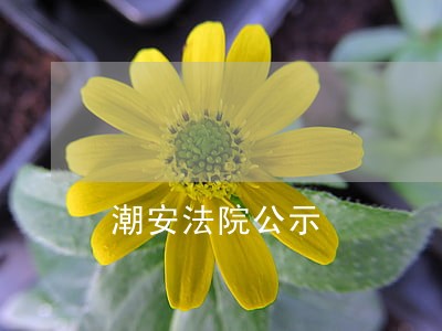 潮安法院公示 潮安法院公示