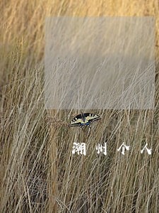 潮州个人借款逾期案例 潮州个人借款逾期案例
