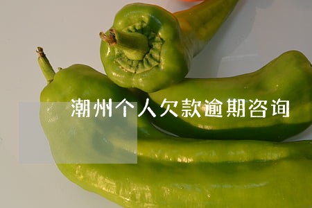 潮州个人欠款逾期咨询 潮州个人欠款逾期咨询