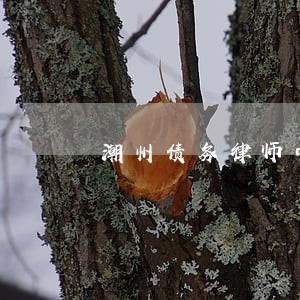 潮州债务律师中心 潮州债务律师中心