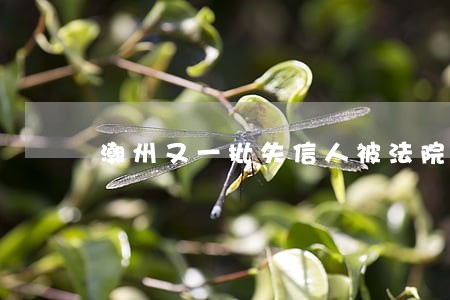 潮州又一批失信人被法院曝光 潮州又一批失信人被法院曝光