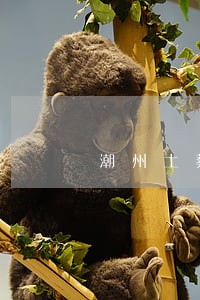 潮州土葬违法吗